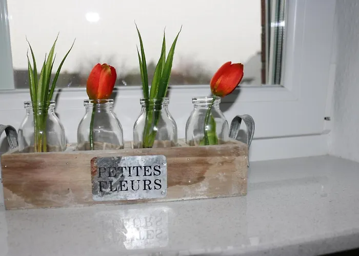 Edi グレートジール